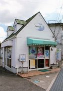 「金田花店」　（大阪府泉南郡熊取町）の花屋店舗写真1