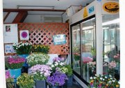 「金田花店」　（大阪府泉南郡熊取町）の花屋店舗写真2