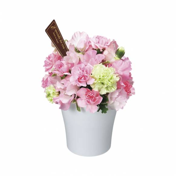 3000円 5000円まで の花 大阪府泉南郡熊取町の花屋 金田花店にフラワーギフトはお任せください 当店は 安心と信頼の花キューピット加盟店です 花キューピットタウン